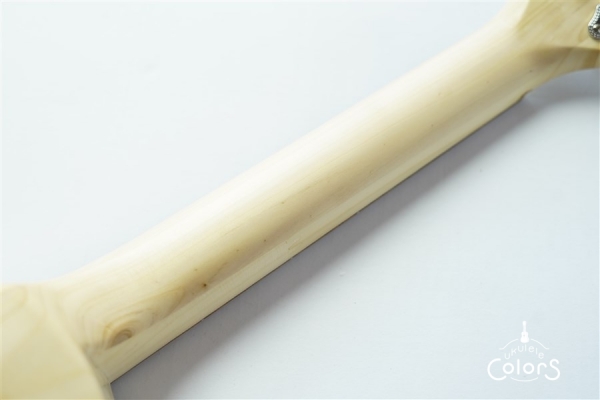 Ezo’s Ukulele Through neck Concert