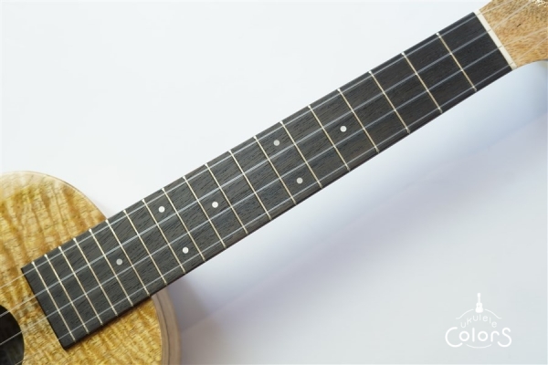 ECO-C Curly Mango #0222