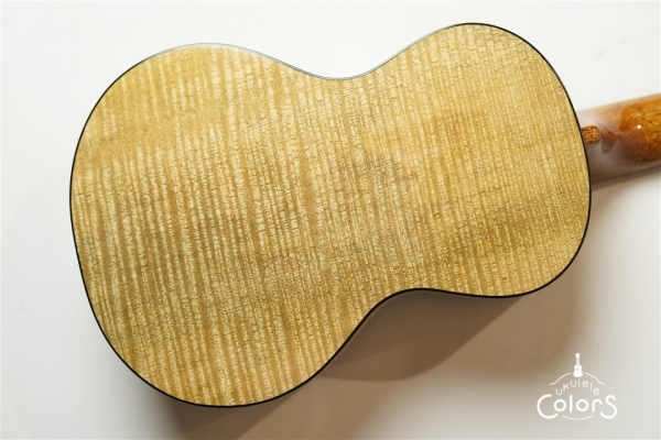 Custom-C Premium Curly Mango/Concert  [1Piece TOP/BACK]