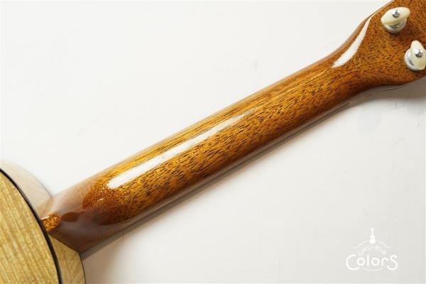 Custom-C Premium Curly Mango/Concert  [1Piece TOP/BACK]