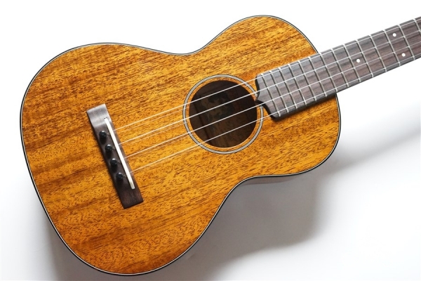 AM-T・KIYOSAKU #859