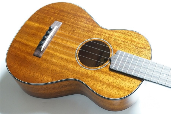 AM-T・KIYOSAKU #859