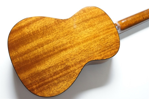 AM-T・KIYOSAKU #859