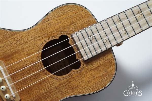 BL-C30 CONCERT