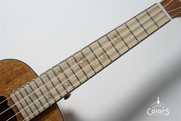 BL-C30 CONCERT