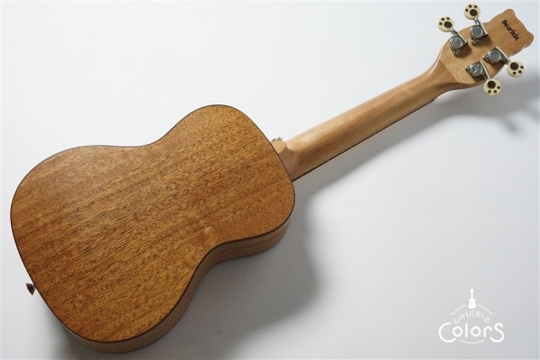 BL-C30 CONCERT