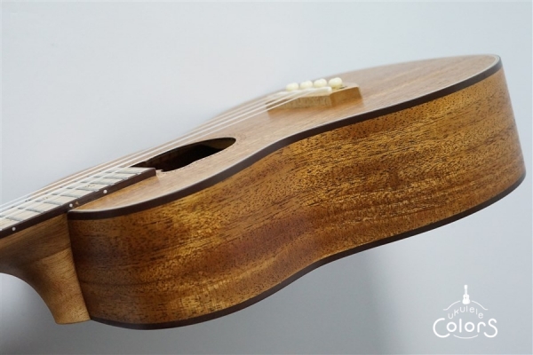 BL-C30 CONCERT