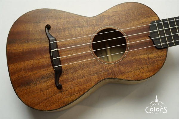 ukulele concert 14f std. – Cuban Mahogany TOP/Spalted Maple SIDE & BACK