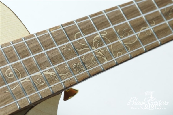 Queen Concert w / EQ