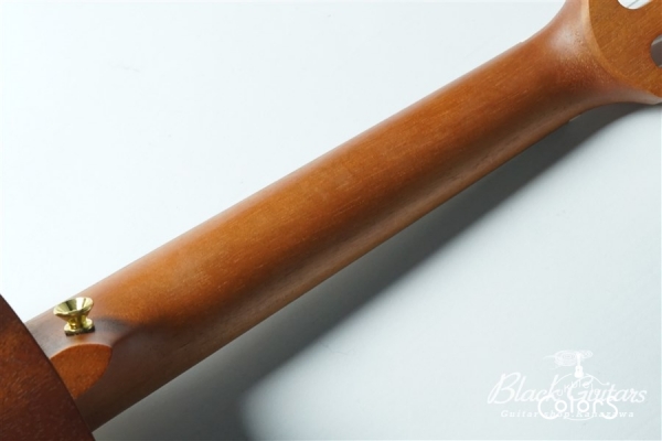 Queen Concert w / EQ