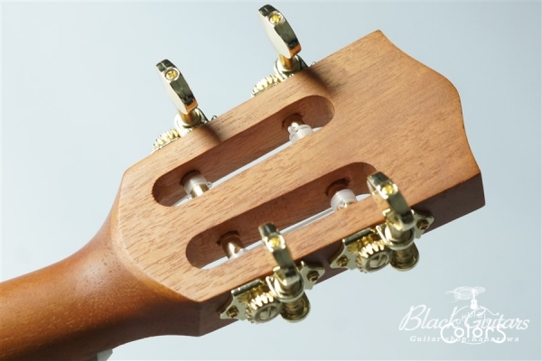 Queen Concert w / EQ