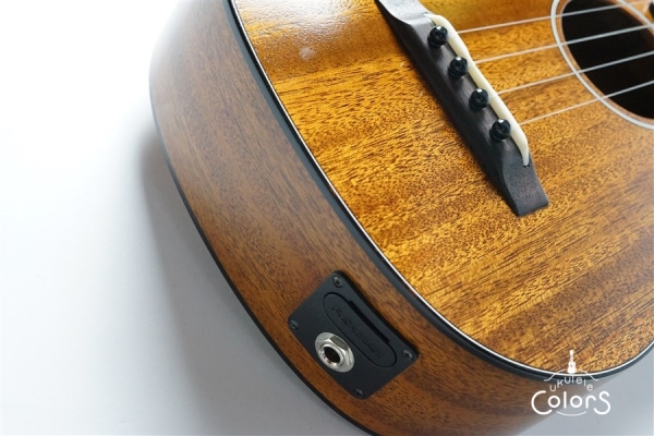 AM-T-E・KIYOSAKU #882