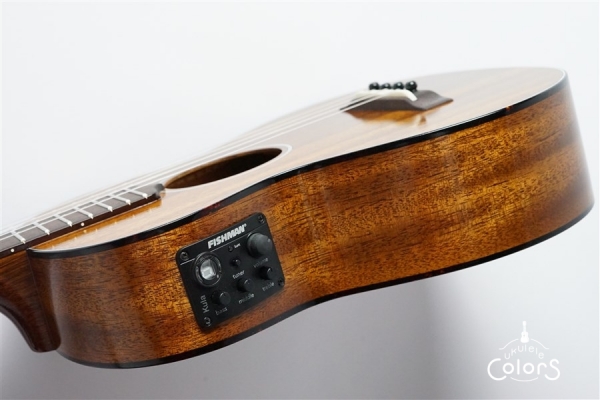 AM-T-E・KIYOSAKU #882