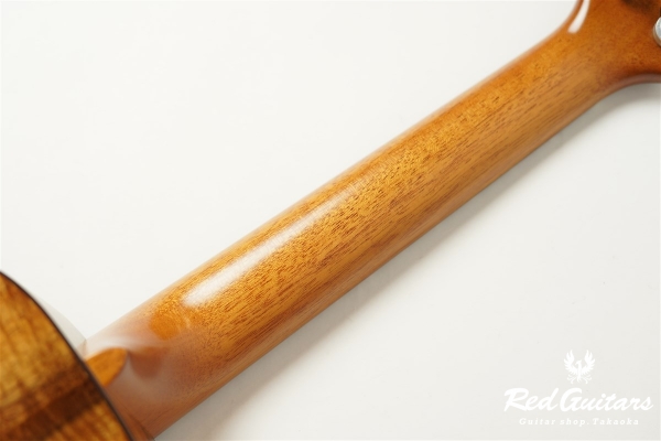 Pebble-T Standard #23 - Hawaiian Koa 3A