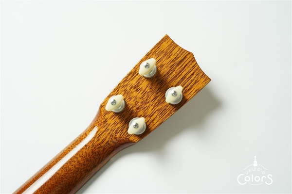 UKULELEGYPSY KIYOSAKU ECO-C