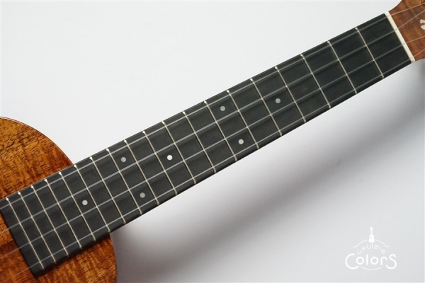 UKULELEGYPSY KIYOSAKU ECO-C