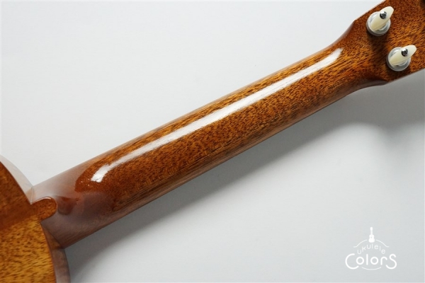 UKULELEGYPSY KIYOSAKU ECO-C