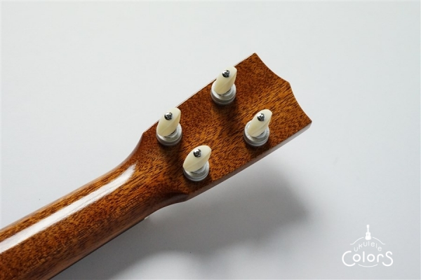 UKULELEGYPSY KIYOSAKU ECO-C