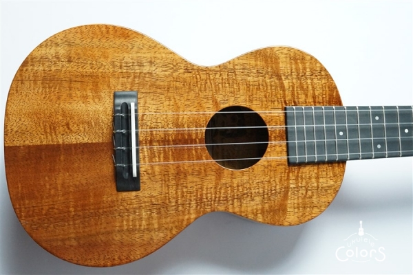 UKULELEGYPSY KIYOSAKU ECO-C