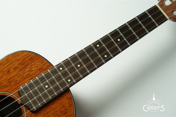 HM-T Custom