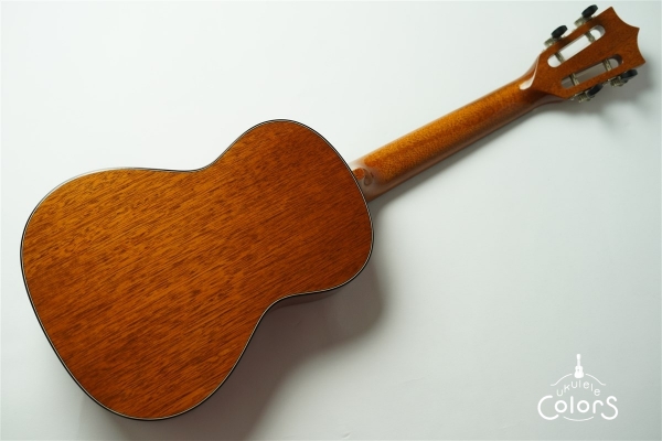 HM-T Custom