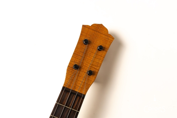 ukulele concert 13f r.a. / Spruce TOP/Figured Maple SIDE & BACK