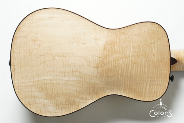 ukulele tenor 15f archtop - Spruce TOP/Curly Maple #1