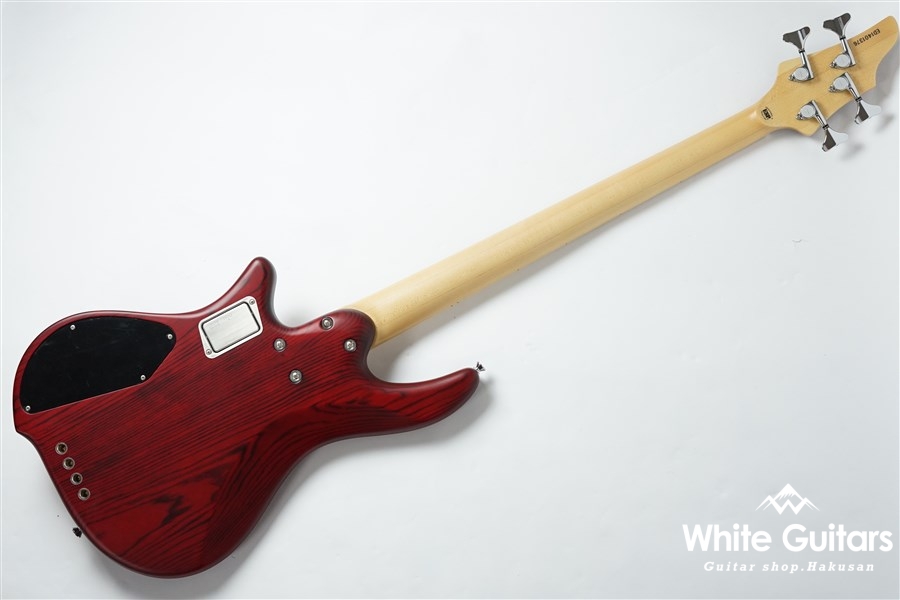 EDWARDS E-BB-145 | White Guitars Online Store