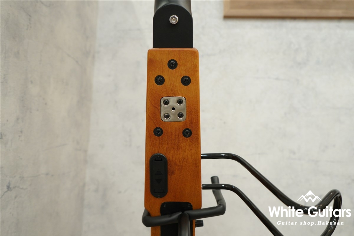 ARIA SWB-LITE2 - OAK(Oak, Matt Finish) | White Guitars Online Store