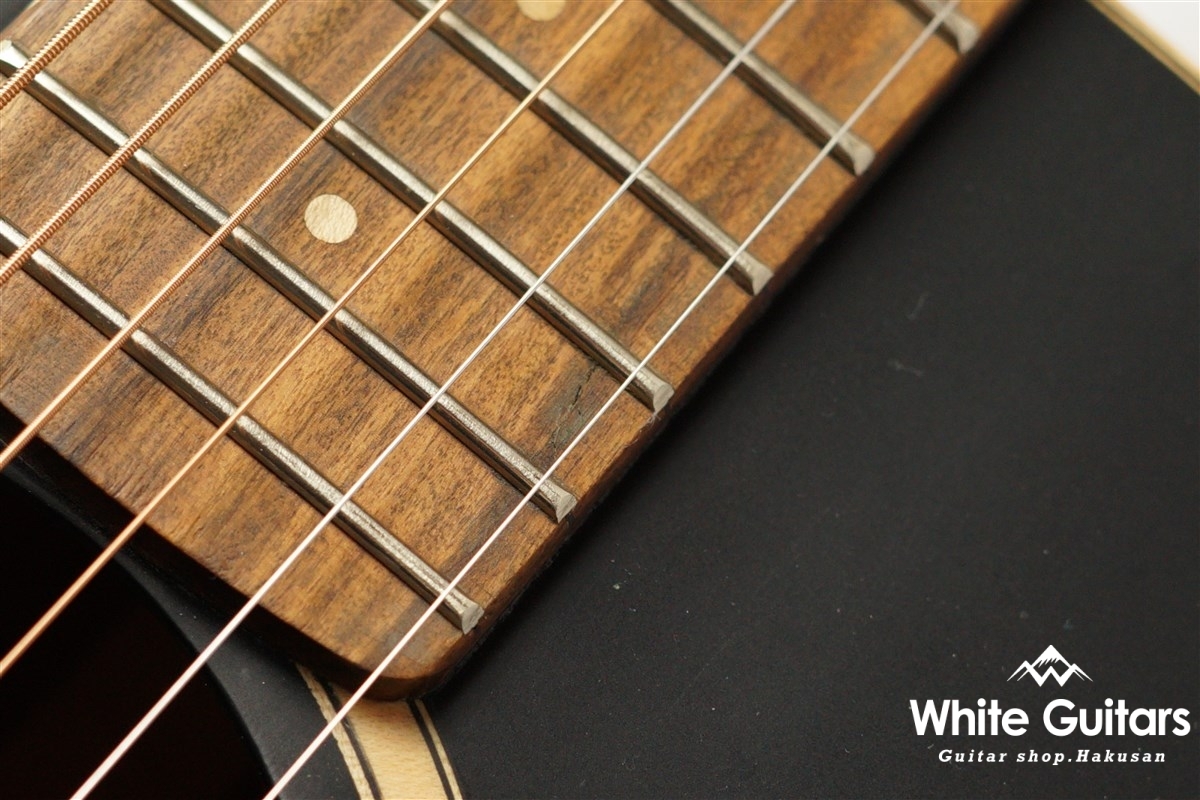 Fender Malibu Special - Matte Black | White Guitars Online Store