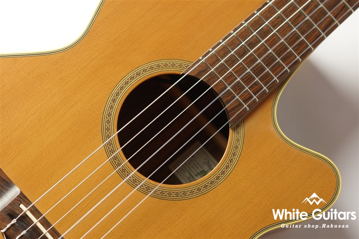 Takamine NPT-110N | White Guitars Online Store