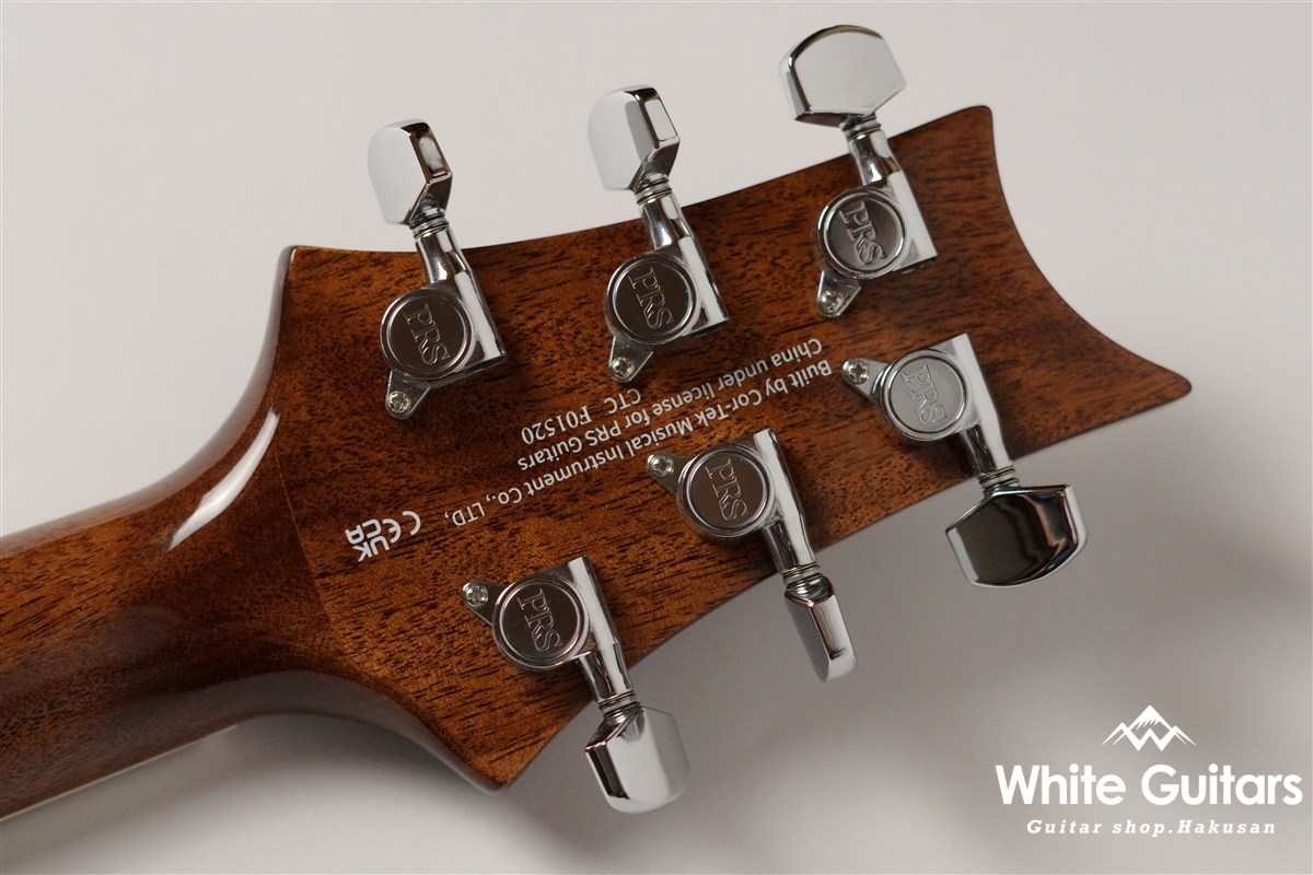 Paul Reed Smith(PRS) SE T40E - Tobacco Burst | White Guitars