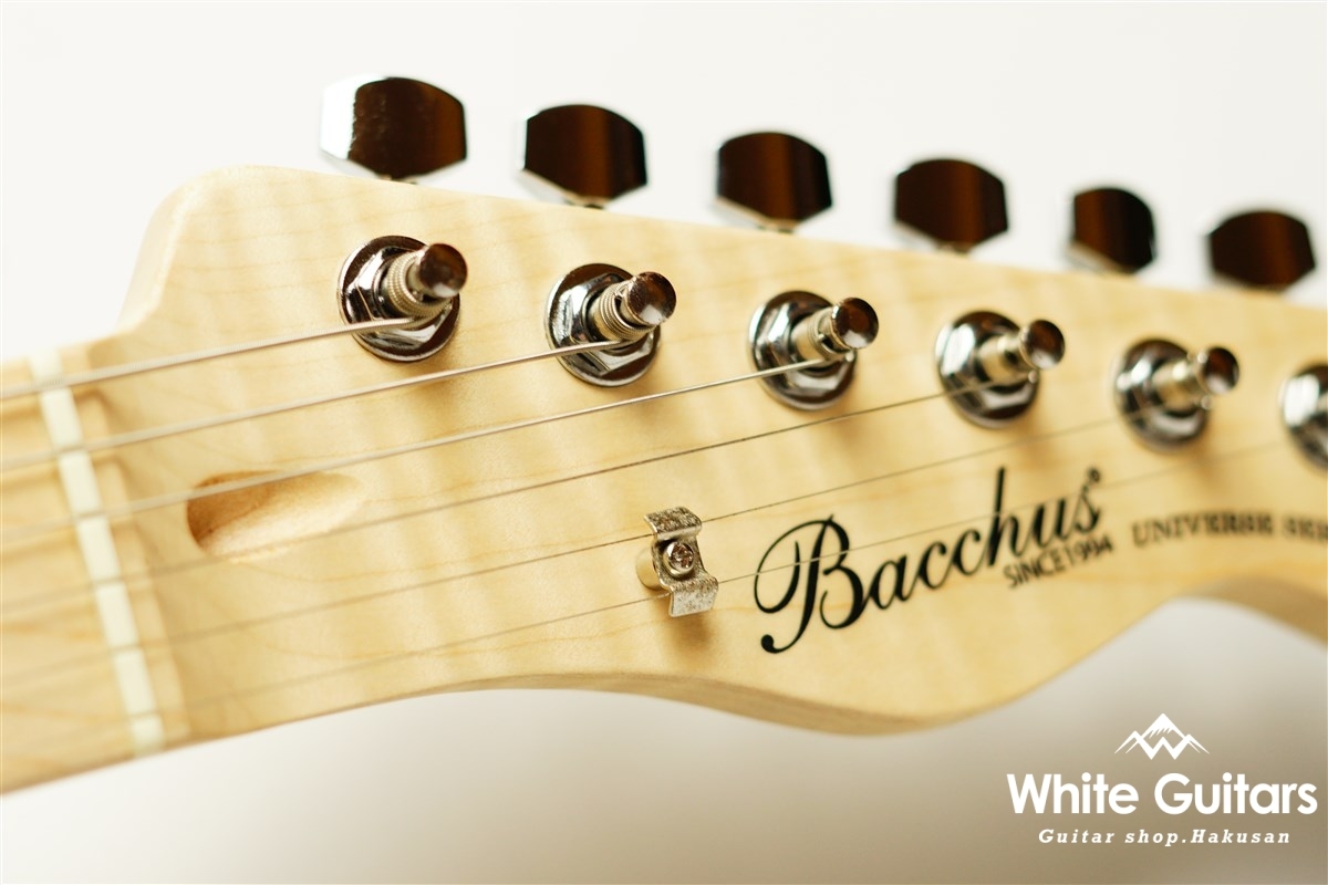 【本体ジャンク】Bacchus BTE-1M ＋EMG/GOTOH製パーツ 本体ジャンク】Bacchus BTE-1M ＋EMG/GOTOH製パーツ 本体