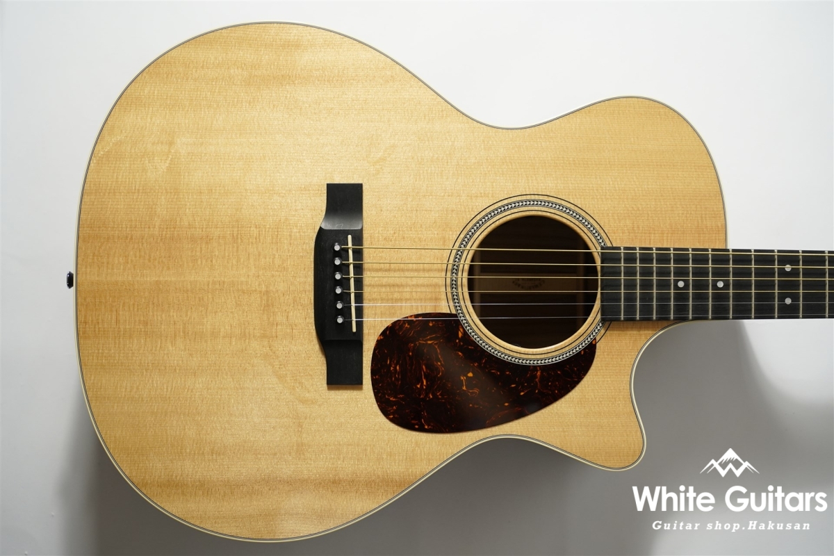 Martin GPC-16E-01 Rosewood | White Guitars Online Store