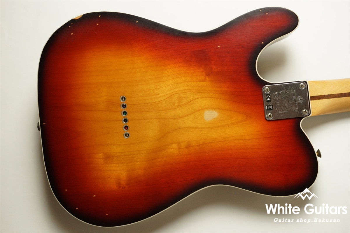 JASON ISBELL CUSTOM TELECASTER