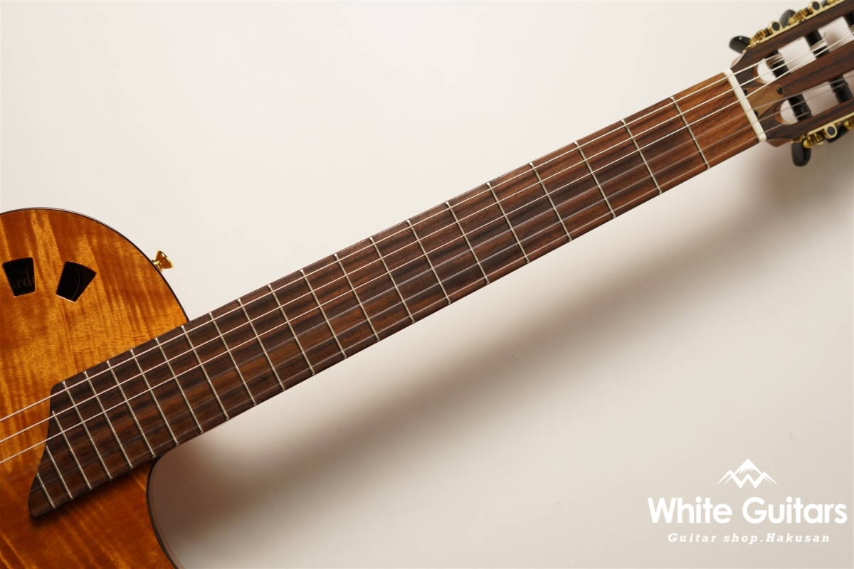 Cordoba Cordoba STAGE GUITAR Natural Amber | White Guitars Online 