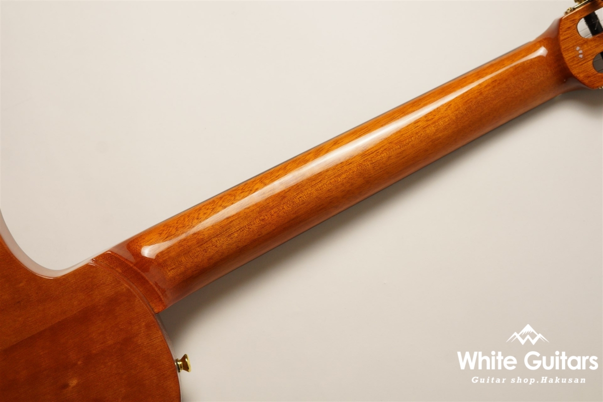 Cordoba Cordoba STAGE GUITAR Natural Amber | White Guitars Online