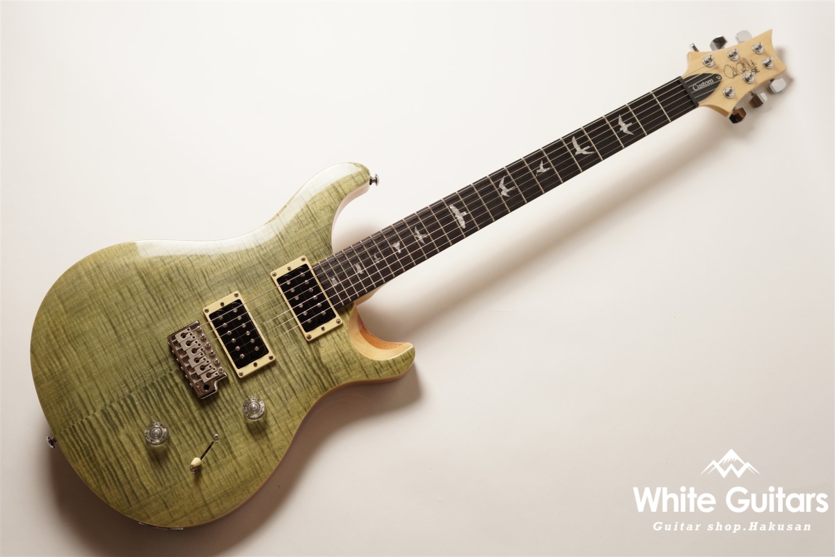 SE custom24 - Trampas Green
