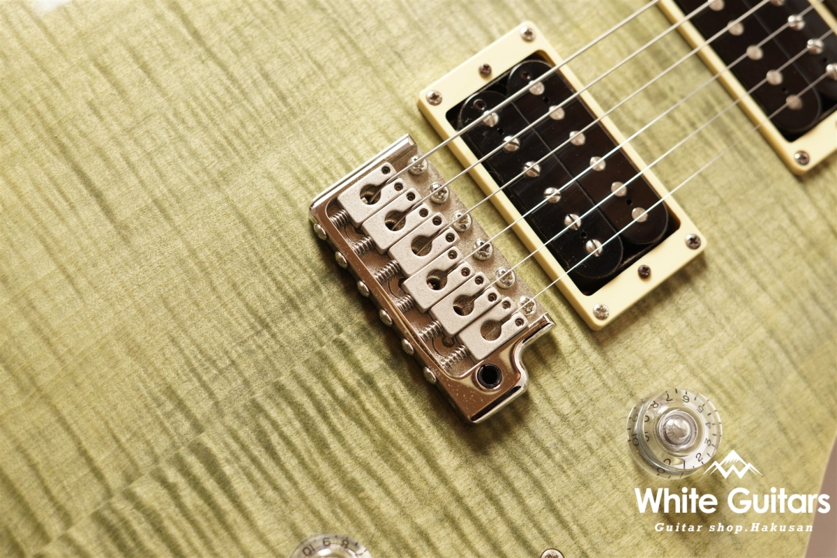 SE custom24 - Trampas Green