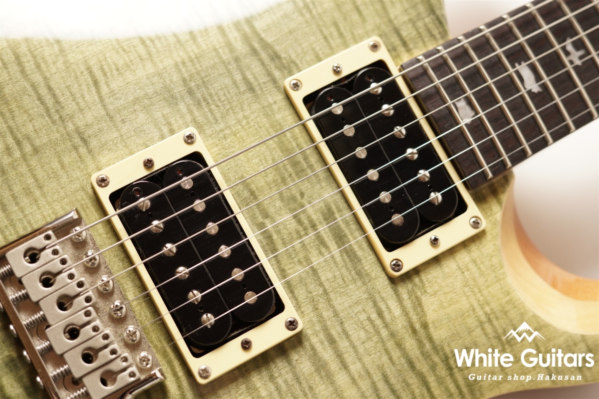 SE custom24 - Trampas Green
