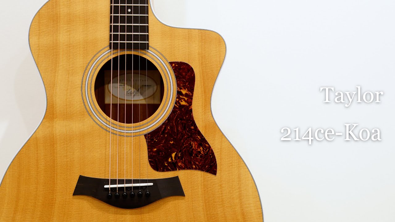 Taylor 214ce-Koa | White Guitars Online Store