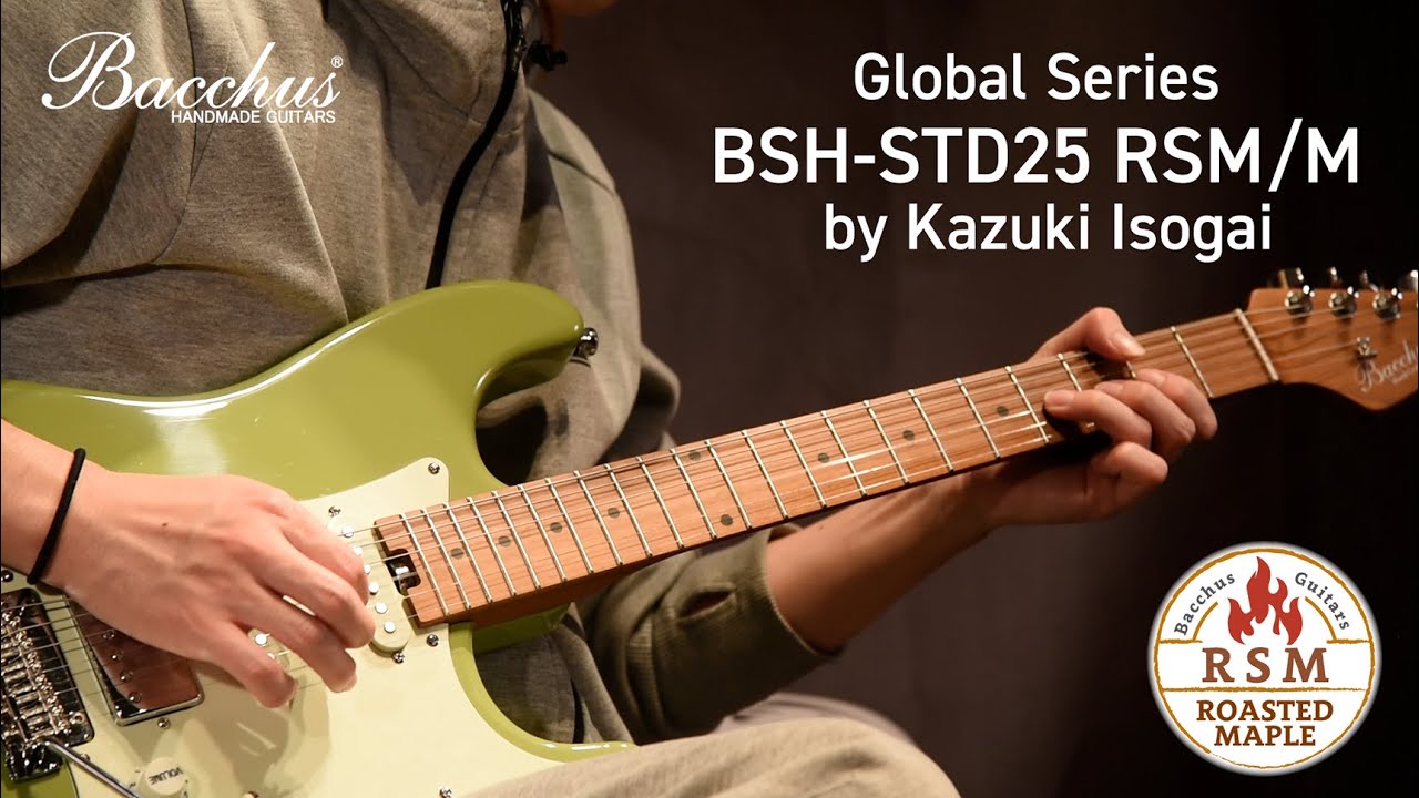 BSH-STD25 RSM/M - SFR