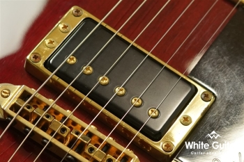 SG3000 Custom - WR
