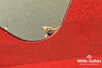 YAMAHA SG2000 Custom