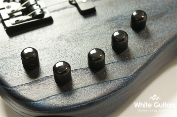 Venus Line Custom with Darkglass Tone Capsule