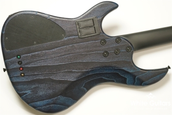 Venus Line Custom with Darkglass Tone Capsule