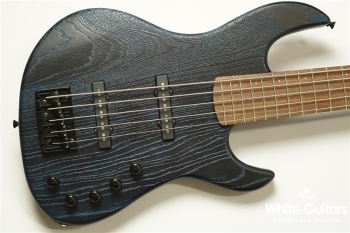 Venus Line 5 Custom with Darkglass Tone Capsule