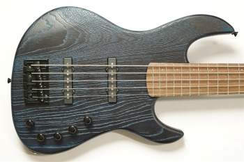 Venus Line 5 Custom with Darkglass Tone Capsule