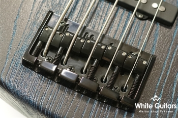 Venus Line 5 Custom with Darkglass Tone Capsule