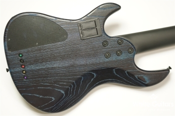 Venus Line 5 Custom with Darkglass Tone Capsule